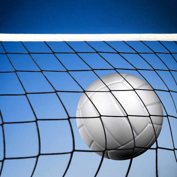 Volleyball - Team Signup